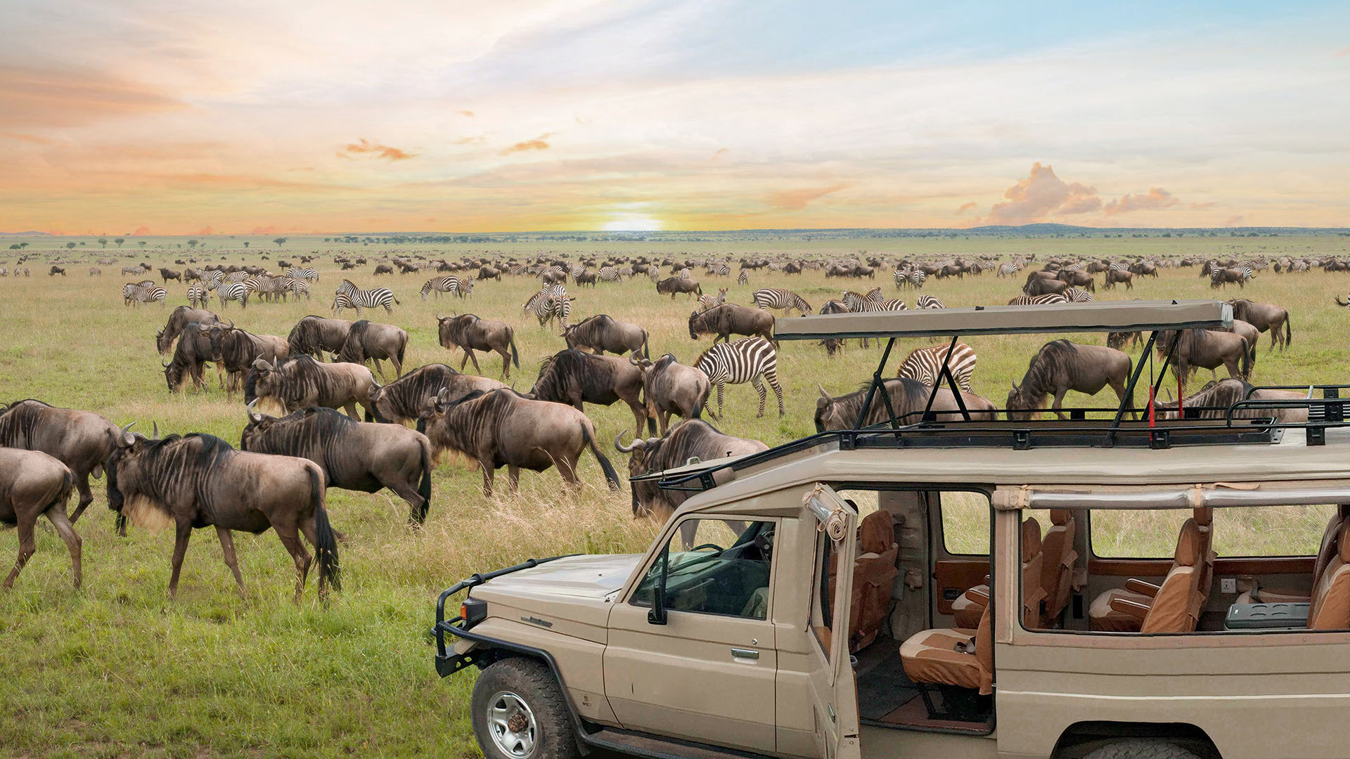 Tanzania Group Joining Safari Day 6